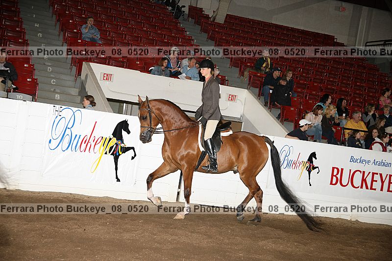 Proof buckeye_08_0520