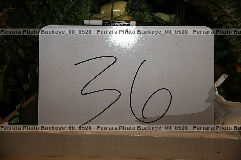 Proof buckeye_08_0528