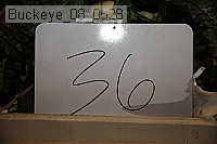 buckeye_08_0528 proof