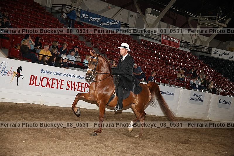 Proof buckeye_08_0531