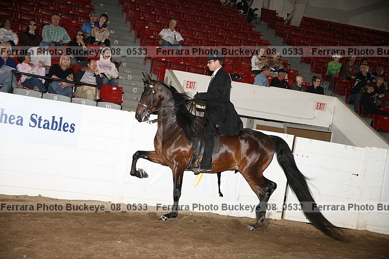 Proof buckeye_08_0533