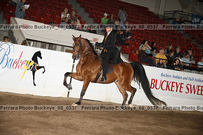 Proof buckeye_08_0537