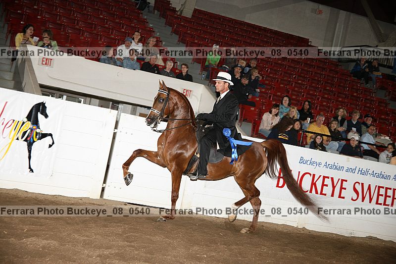 Proof buckeye_08_0540