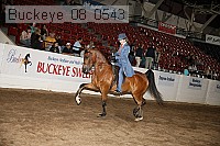 buckeye_08_0543 proof