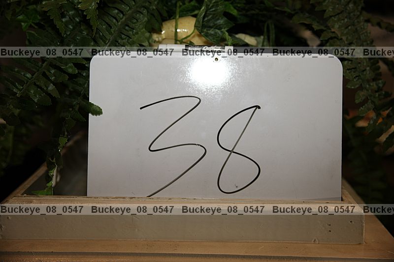Proof buckeye_08_0547