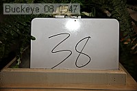 buckeye_08_0547 proof