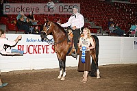 buckeye_08_0556 proof