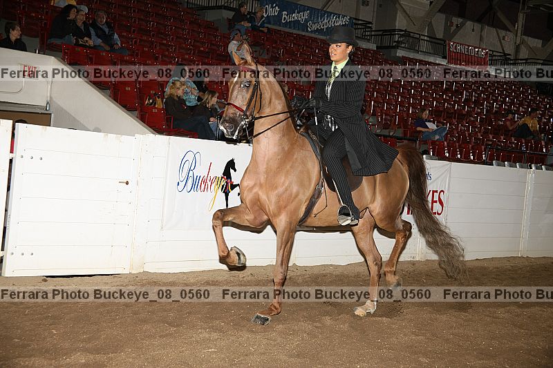 Proof buckeye_08_0560
