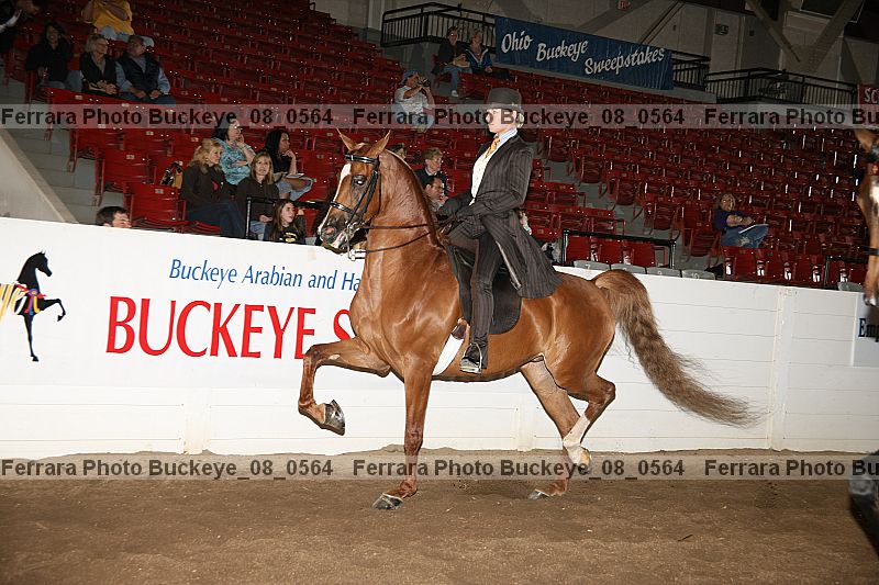Proof buckeye_08_0564