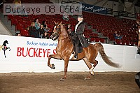 buckeye_08_0564 proof