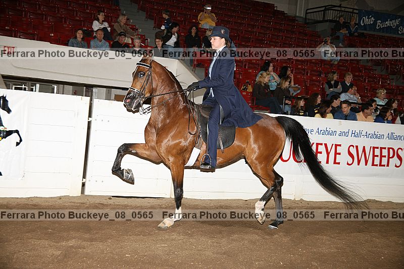 Proof buckeye_08_0565