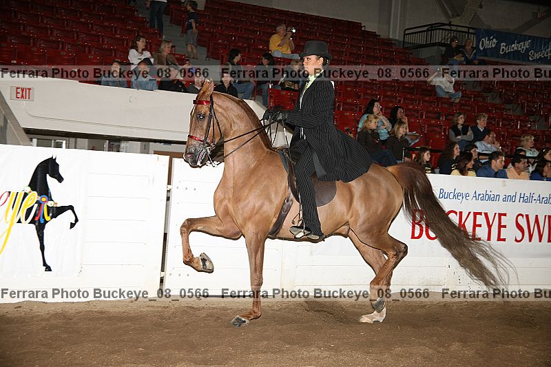 Proof buckeye_08_0566
