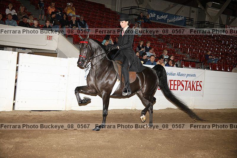 Proof buckeye_08_0567