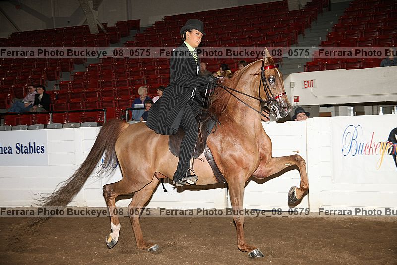 Proof buckeye_08_0575