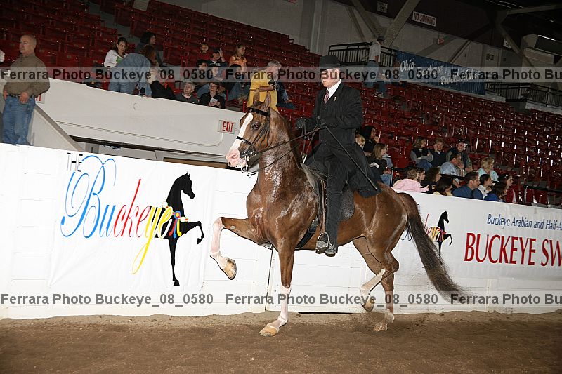 Proof buckeye_08_0580