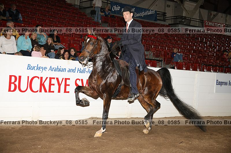 Proof buckeye_08_0585