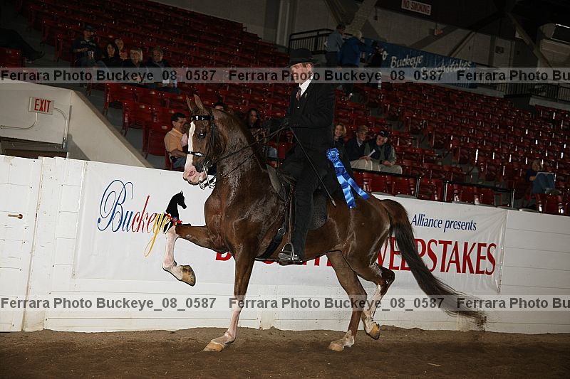 Proof buckeye_08_0587