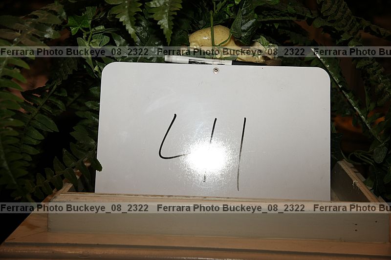 Proof buckeye_08_2322