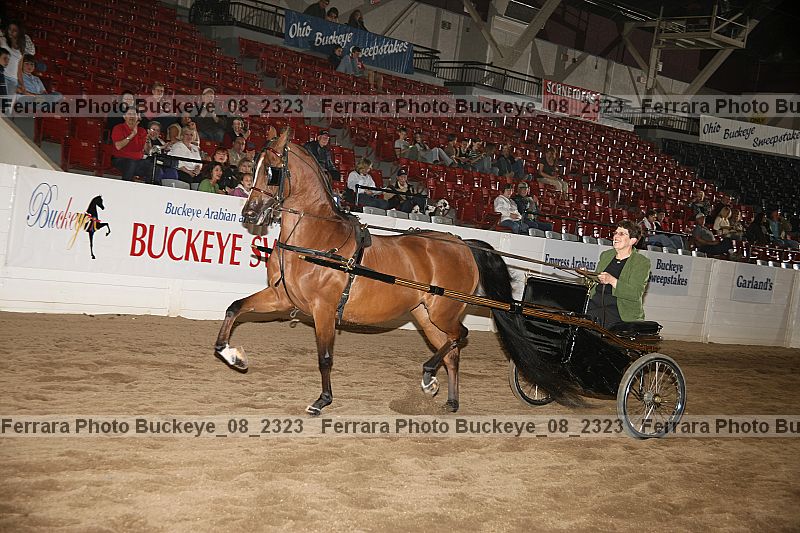 Proof buckeye_08_2323