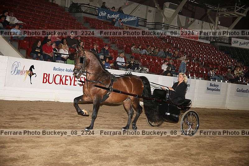Proof buckeye_08_2324