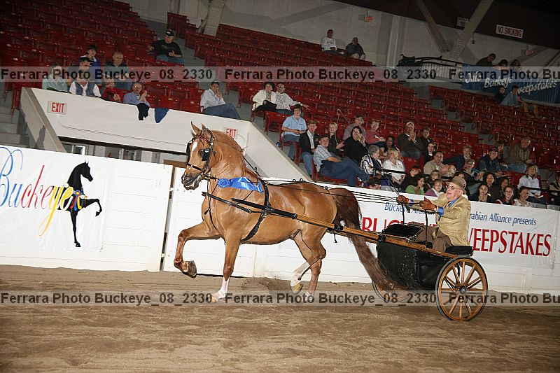 Proof buckeye_08_2330