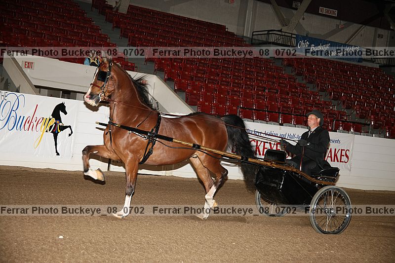 Proof buckeye_08_0702