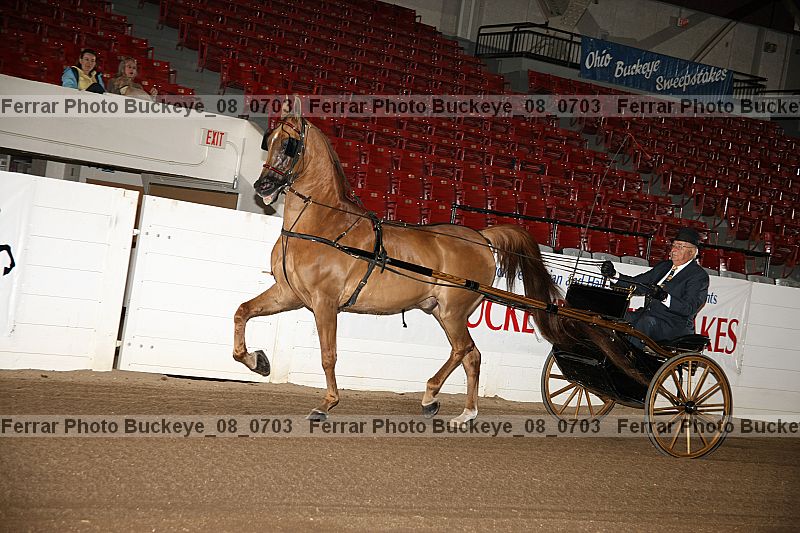 Proof buckeye_08_0703