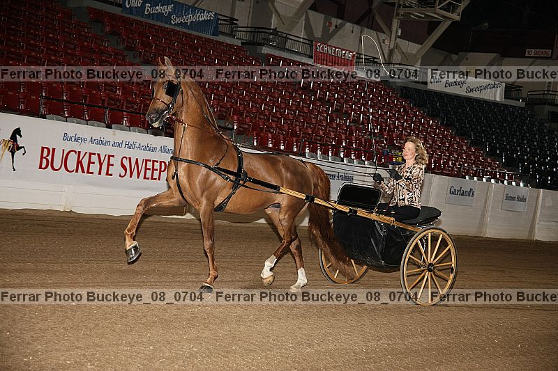 Proof buckeye_08_0704