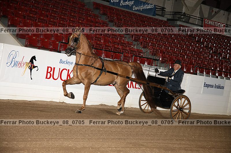 Proof buckeye_08_0705