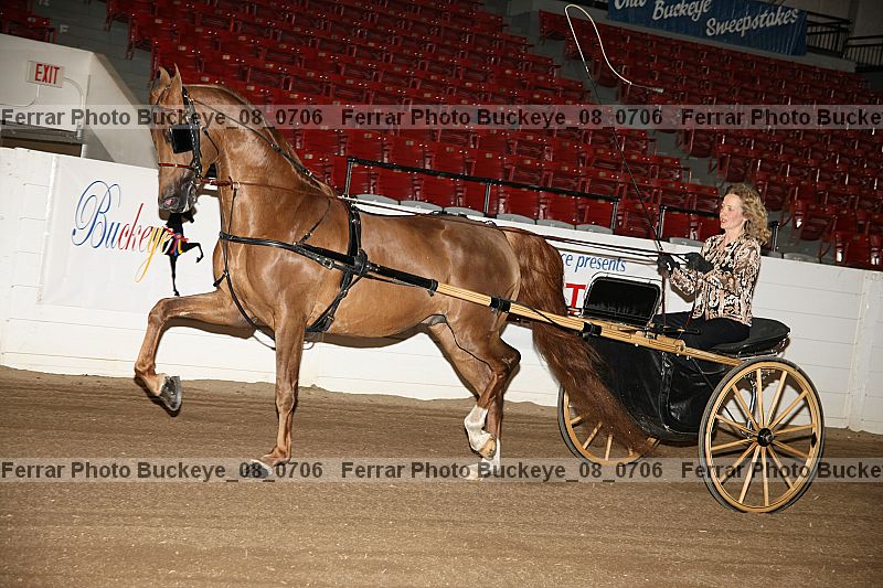 Proof buckeye_08_0706