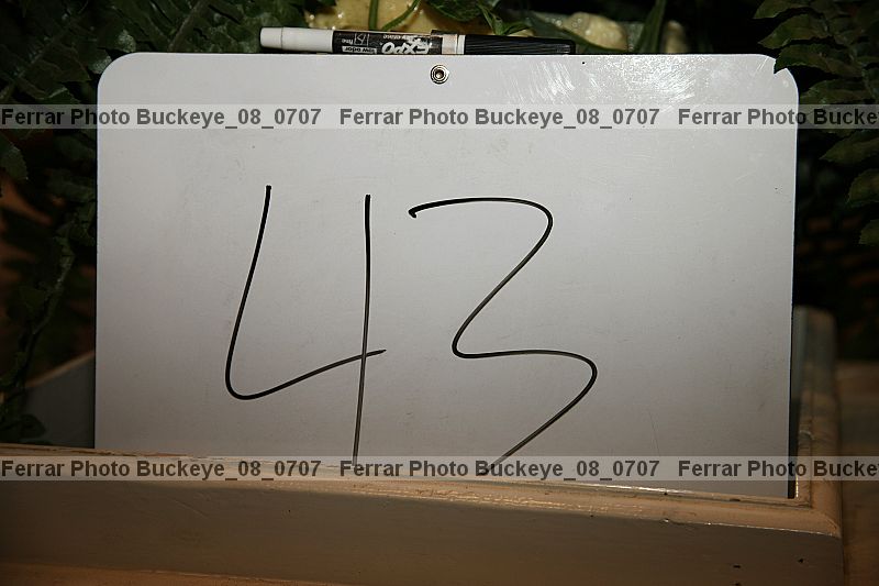Proof buckeye_08_0707