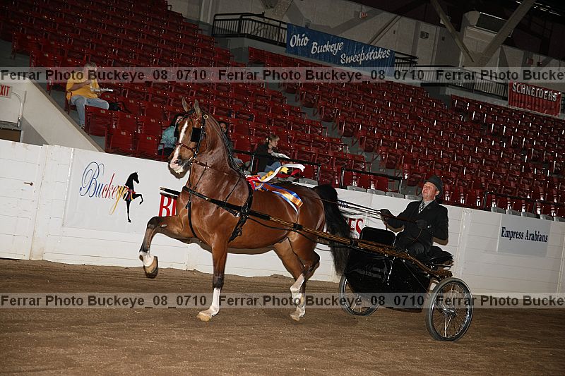 Proof buckeye_08_0710