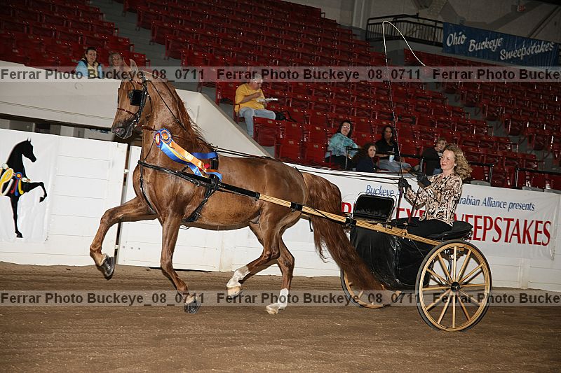 Proof buckeye_08_0711