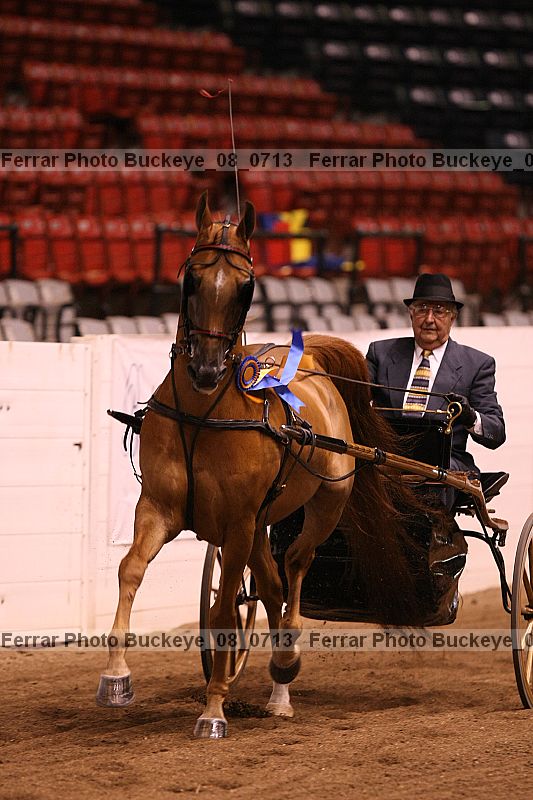Proof buckeye_08_0713