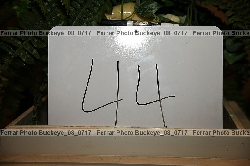 Proof buckeye_08_0717