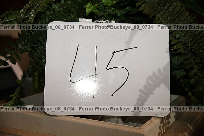 Proof buckeye_08_0734