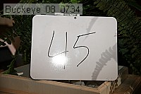 buckeye_08_0734 proof