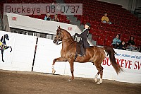 buckeye_08_0737 proof