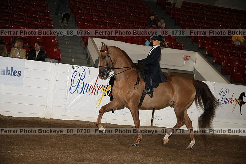 Proof buckeye_08_0738