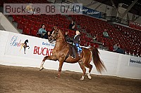 buckeye_08_0740 proof