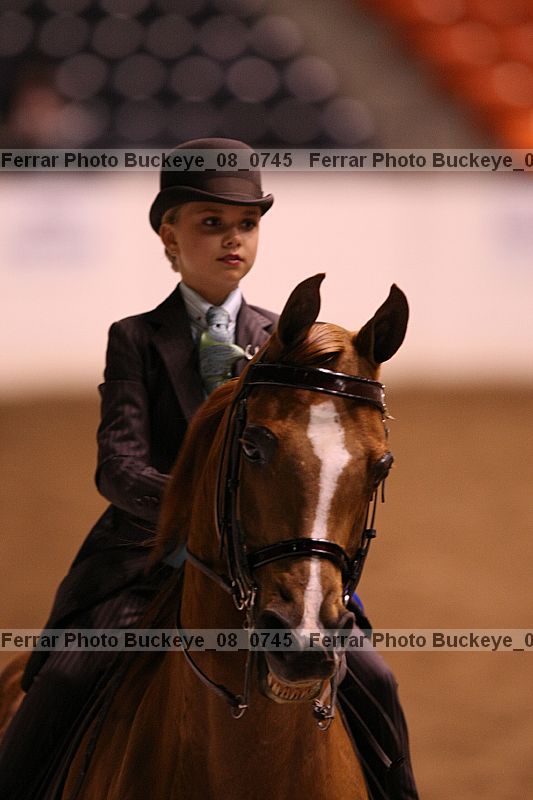 Proof buckeye_08_0745