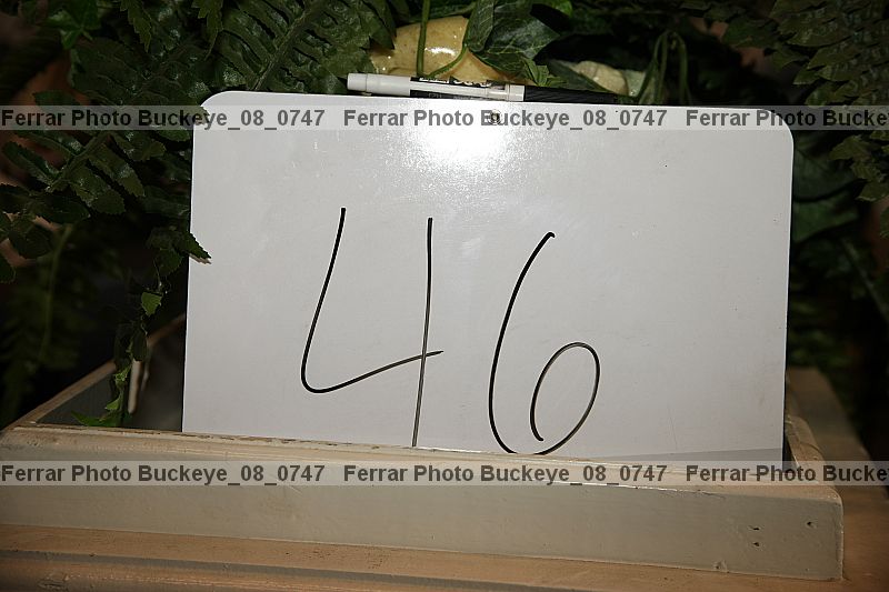 Proof buckeye_08_0747