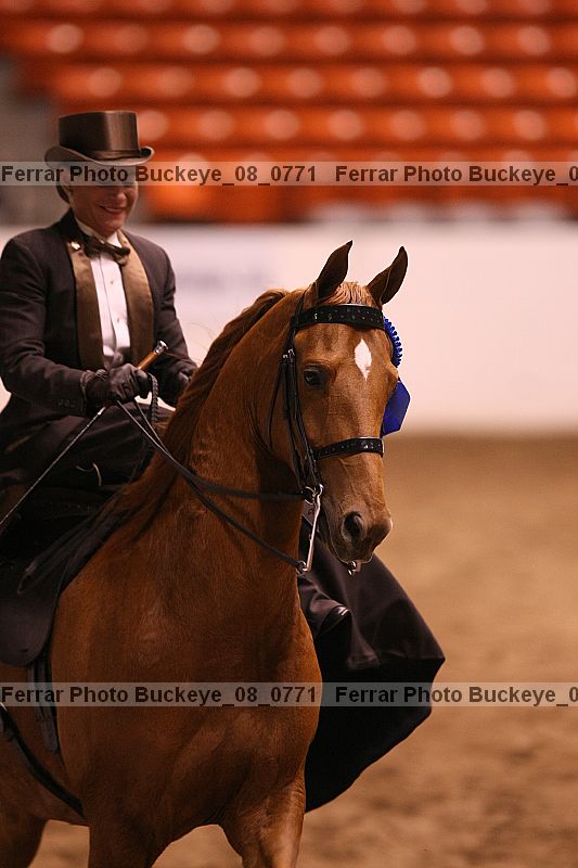 Proof buckeye_08_0771