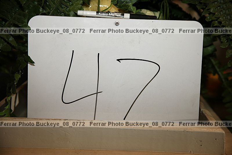 Proof buckeye_08_0772
