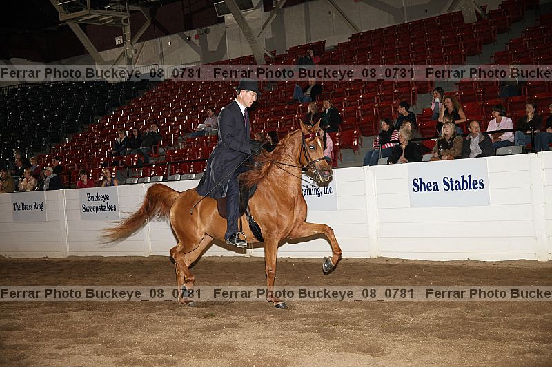 Proof buckeye_08_0781