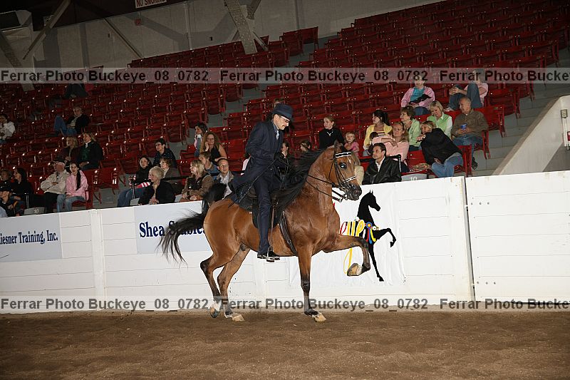Proof buckeye_08_0782