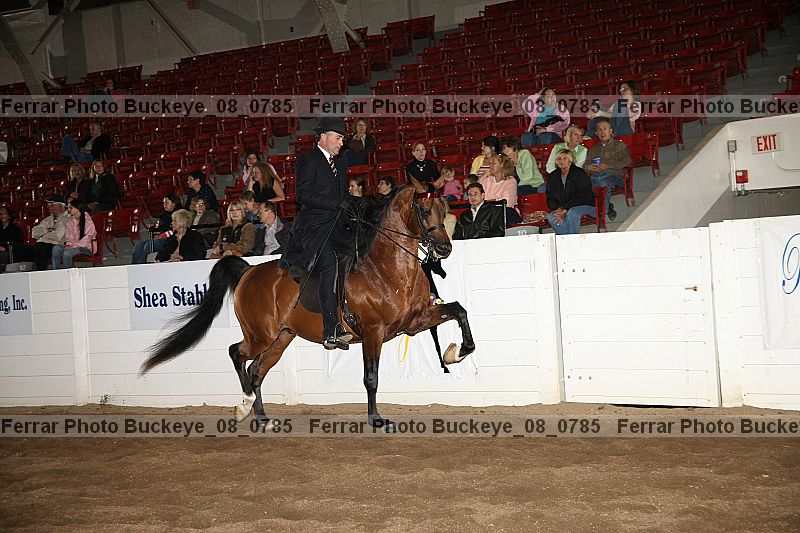 Proof buckeye_08_0785