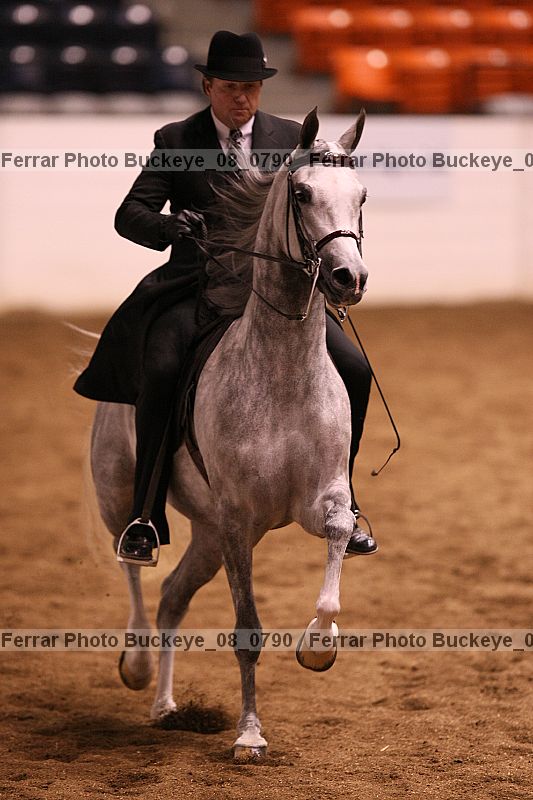 Proof buckeye_08_0790