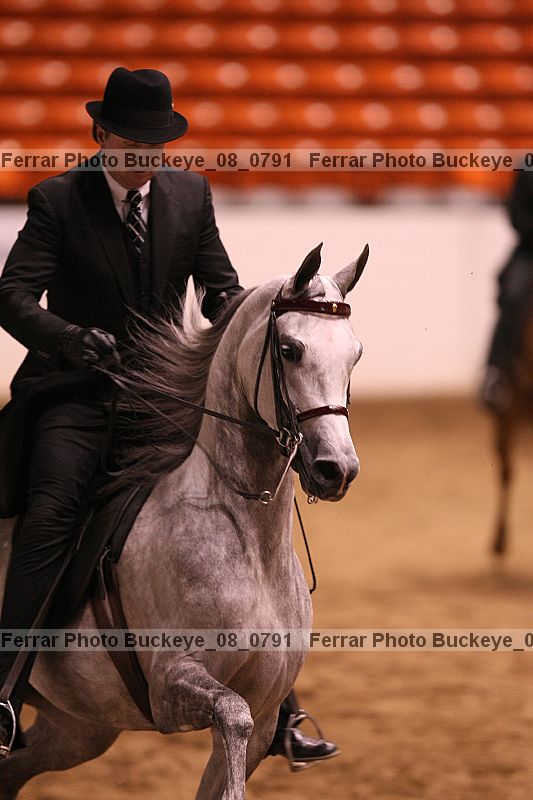 Proof buckeye_08_0791
