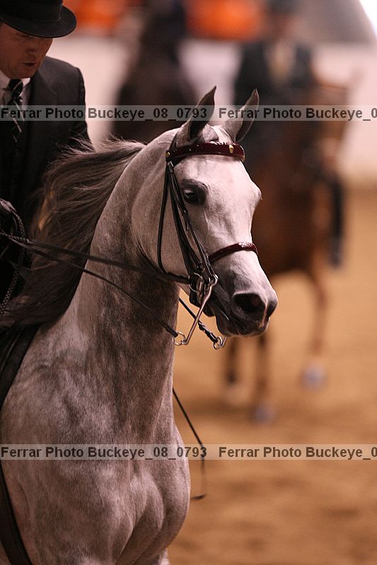Proof buckeye_08_0793